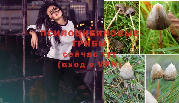 каннабис Белокуриха