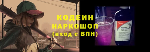 индика Баксан